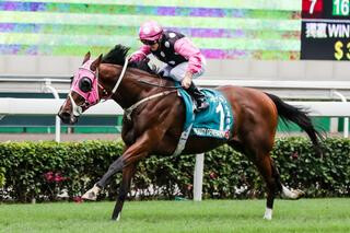 Two-time Hong Kong Horse of the Year Beauty Generation (NZ). 